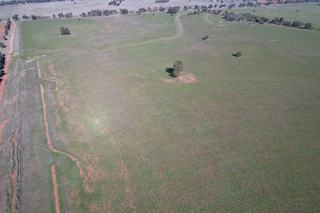 Farm For Sale - NSW - Trundle - 2875 - 