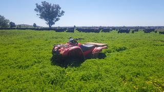 Farm For Sale - NSW - Gulargambone - 2828 - Rare opportunity to acquire tightly-held land 