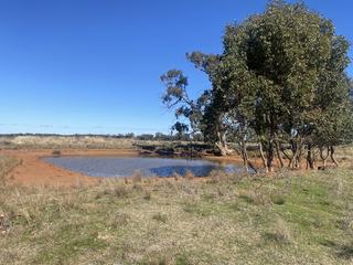 Farm Expressions of Interest - NSW - CONDOBOLIN - 2877 - Productive Rural Lifestyle Opportunity – 250* Acres Across Three Titles 