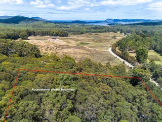 Farm For Sale - TAS - South Bruny - 7150 - Nature Loving Bush Block on the way to Cloudy Bay.