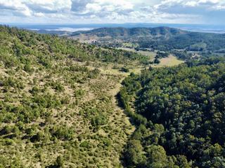 Farm For Sale - QLD - Dundas - 4306 - 453 Acres with Creek Frontage – Lifestyle & Grazing Opportunity Near Brisbane