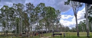 Farm For Sale - QLD - Woocoo - 4620 - PRICE REDUCTION - Cattle Country 
