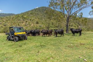 Farm For Sale - QLD - Hazeldean - 4515 - Exceptional Multi-Title Holding in a Prime Location 