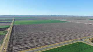 Farm Expressions of Interest - QLD - West Prairie - 4403 - Blue-chip Darling Downs dryland cotton/grain enterprise 
