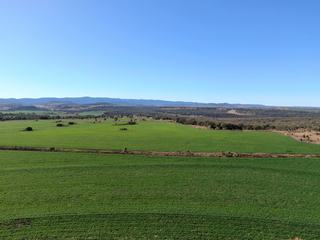 Farm Expressions of Interest - QLD - Cooranga - 4408 - Operationally Diverse Mixed Farming Opportunity Located in the Darling Downs 