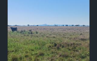 Farm Auction - NSW - Armatree - 2828 - Willoughby Armatree 