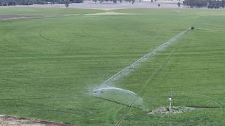 Farm Auction - QLD - Monto - 4630 - Extensive Cropping & Hay Irrigation Property