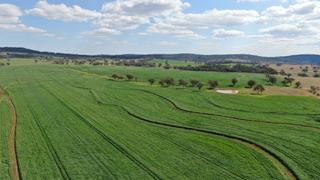 Farm For Sale - NSW - Rocky Creek - 2371 - Rocky Creek | Versatile Mixed-Farming Platform