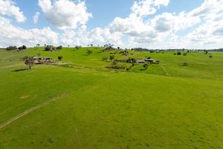 Farm Auction - NSW -  Coolac - 2727 - Opportunity, Versatility, Productivity 