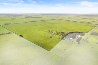Farm For Sale - SA - Cape Douglas - 5291 - Prime Lower South East Grazing Land 
