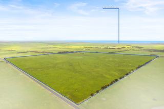 Farm For Sale - SA - Cape Douglas - 5291 - Prime Lower South East Grazing Land 