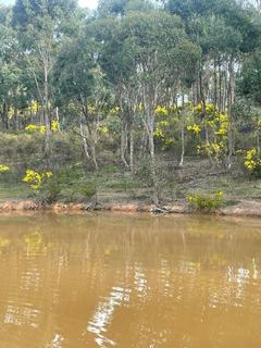 Farm For Sale - VIC - Guildford - 3451 - A Canvas on Which to Paint, Ten Acres Guildford