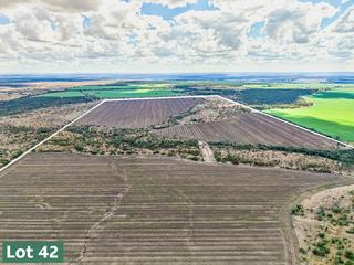Farm Auction - QLD - Capella - 4723 -