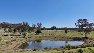 Farm For Sale - NSW - Warialda - 2402 - ESCAPE TO CALAMITY