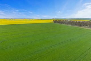 Farm Expressions of Interest - VIC - Carranballac - 3361 - Landmark Western District Holding