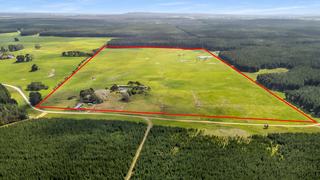 Farm For Sale - SA - Wandilo - 5291 - Rural Opportunity in Wandilo, SA – 106 Acres of undulating Land 