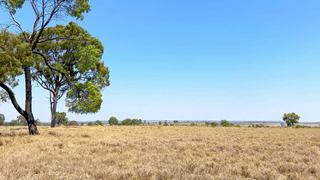 Farm Auction - QLD - Comet  - 4702 -