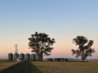 Farm For Sale - Qld - West Prairie - 4403 - Sunset Strip - Fertile Soils, Reliable Infrastructure, Endless Potential 