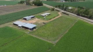 Farm For Sale - QLD - Giru - 4809 - Excellent, Well Developed Hay/Cane Farm Giru 