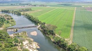 Farm For Sale - QLD - Giru - 4809 - Excellent, Well Developed Hay Farm Giru 