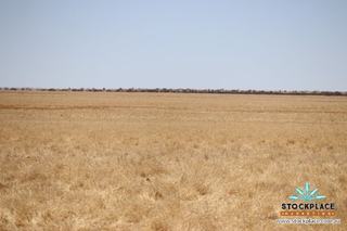 Farm Expressions of Interest - QLD - Richmond - 4822 - Flinders 