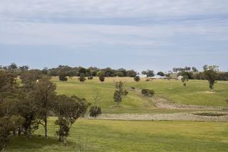 Farm Expressions of Interest - NSW - Wallendbeen  - 2588 - 
