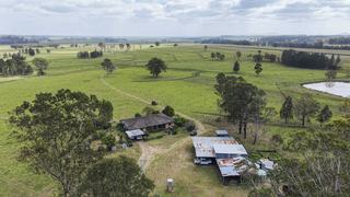 Farm For Sale - NSW - Glenugie - 2460 - 'Pheasant Creek' – Prime Location, Walk-In, Walk-Out Opportunity! 