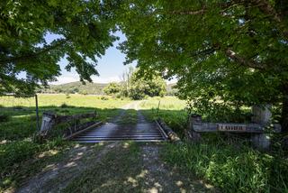 Farm For Sale - NSW - Coramba   - 2450 - 90 Acres of Riverfront Living, Native Bushland & Adventure 