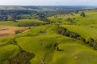 Farm For Sale - VIC - Boolarra South - 3870 - Quality Land in Quiet Setting 
