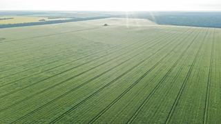 Farm For Sale - QLD - Goodar  - 4390 - Goodar Station Aggregation | Border Rivers Mixed-farming Enterprise of Scale 