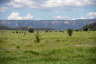 Farm Auction - QLD - Blackwater - 4717 - Rarely do properties of the quality and scale of “Bottle Tree Camp” become available for purchase 