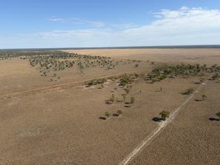 Farm Auction - NSW - Walgett - 2832 - Large-Scale Western Grazing & Farming Aggregation 