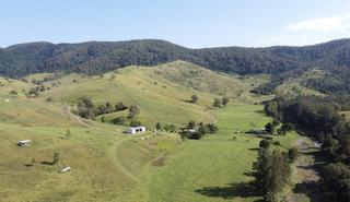 Farm For Sale - NSW - Bindera - 2422 - Perfect 'Escape to the Country' Lifestyle Farm On the Barrington River 25 minutes from Gloucester 