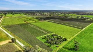 Farm For Sale - SA - Koppamurra - 5271 - Wrattonbully Vineyard Aggregation, SE South Australia 