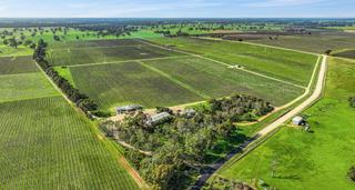Farm For Sale - SA - Koppamurra - 5271 - Wrattonbully Vineyard Aggregation, SE South Australia 