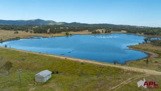 Farm Auction - NSW - Tenterfield - 2372 - 'Border Park' and 'Brookdale' - Livestock and Irrigated Cropping 
