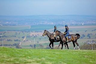 Farm Auction - NSW - Bathurst - 2795 - A View from the Top – Modern country living 