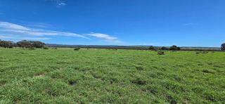 WOONOONA, Roma Auction by TopX Australia