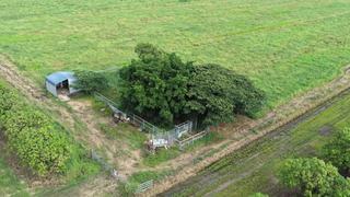 Farm For Sale - QLD - Horseshoe Lagoon - 4809 - 150 Acres, Water Allocation, Grazing or Farming Giru 