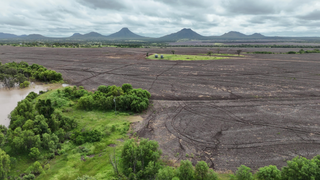 Farm Auction - QLD - Capella - 4723 - 