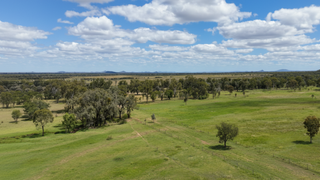 Farm Auction - QLD - Clermont  - 4721 - 