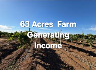 Farm For Sale - VIC -  Tresco,  - 3583 - Prime Irrigated Horticultural & Viticultural Opportunity in the heart of Tresco 