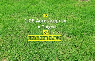 Farm For Sale - VIC - Culgoa - 3530 - Must Sell !!! 