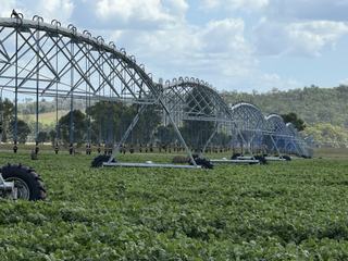 Farm For Sale - QLD - Ceratodus - 4627 - Mixed Farming Property – Cattle, Cropping & Hay Only 10 Minutes from Eidsvold 