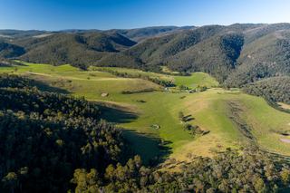 Farm For Sale - VIC - Murrindal - 3885 - Mountain Park 