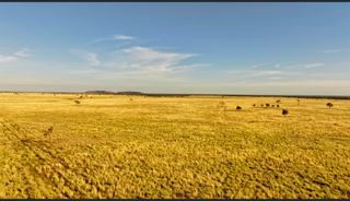 Farm Auction - QLD - Aramac - 4726 - Lorne Station a well-developed grazing opportunity 