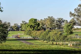 Farm Expressions of Interest - NSW - Tamworth - 2340 - Magnificent rural lifestyle, equine estate and landbank 