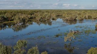 Farm For Sale - QLD - Croydon - 4871 - Ella Vale Station 