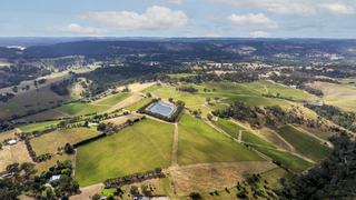 Farm For Sale - SA - Clarendon - 5157 - Stunning Vineyard Retreat 