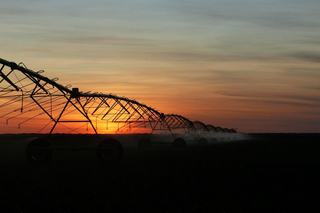 Farm For Sale - NT - Baines - 0852 - Legune Station | A Large-Scale Pastoral & Agricultural Opportunity 